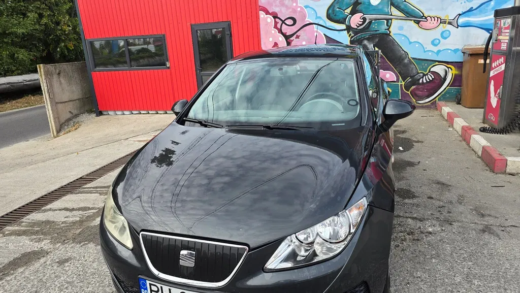 Fotografie: 2011 Seat Ibiza
