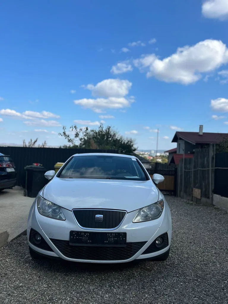 Fotografie: 2011 Seat Ibiza