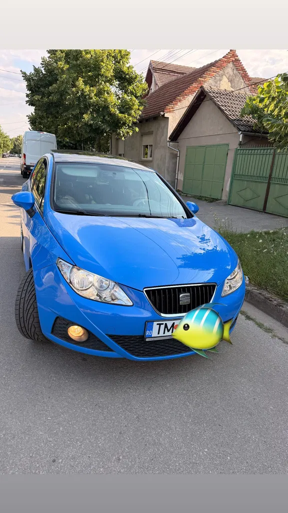 Fotografie: 2009 Seat altul