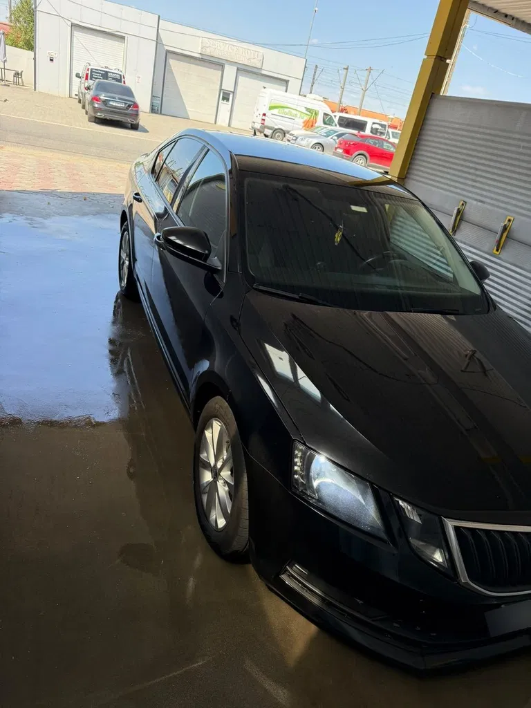 Fotografie: 2018 Skoda Octavia