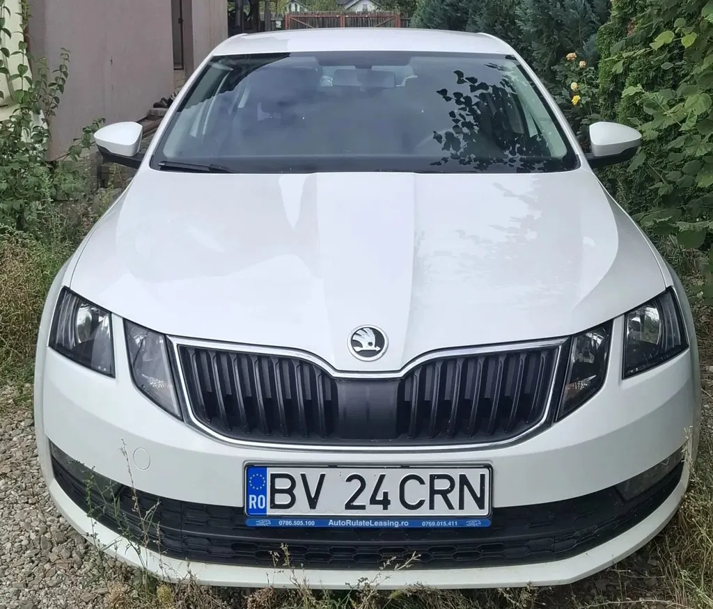 Fotografie: 2018 Skoda Octavia