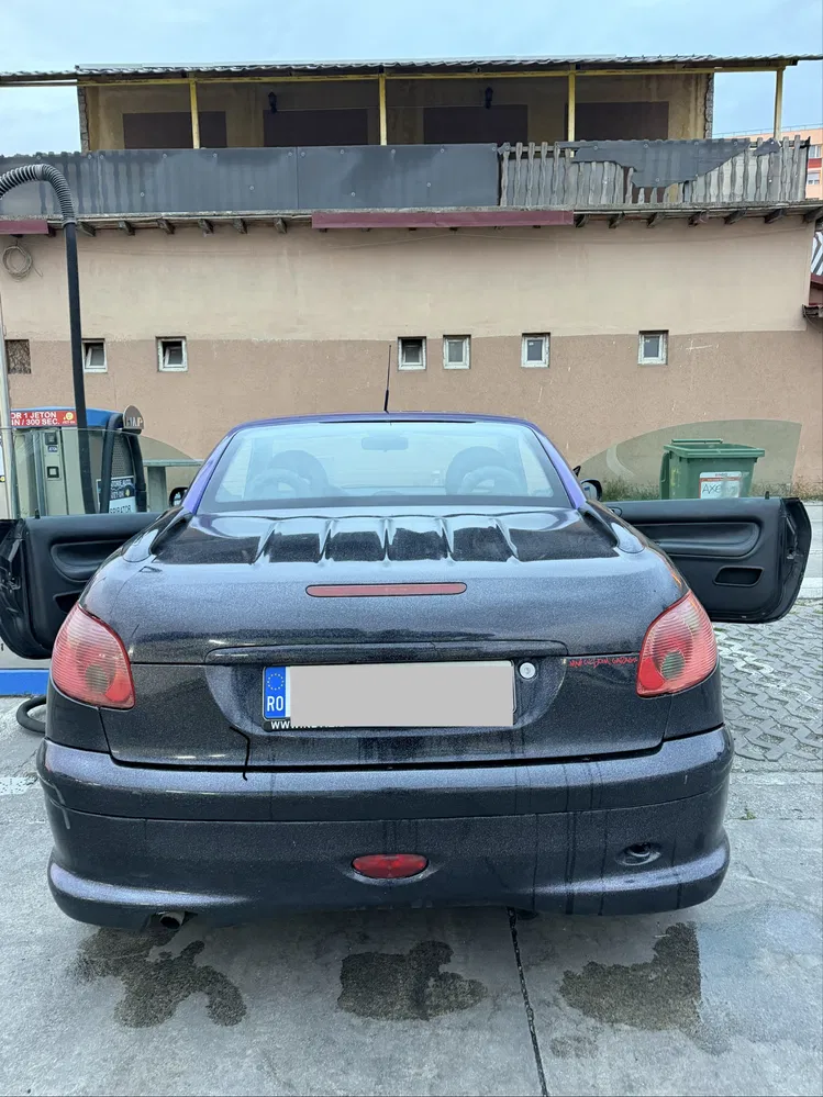 Fotografie: 2003 Peugeot 206 CC
