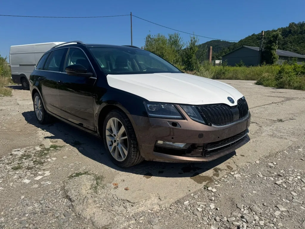 Fotografie: 2019 Skoda Octavia