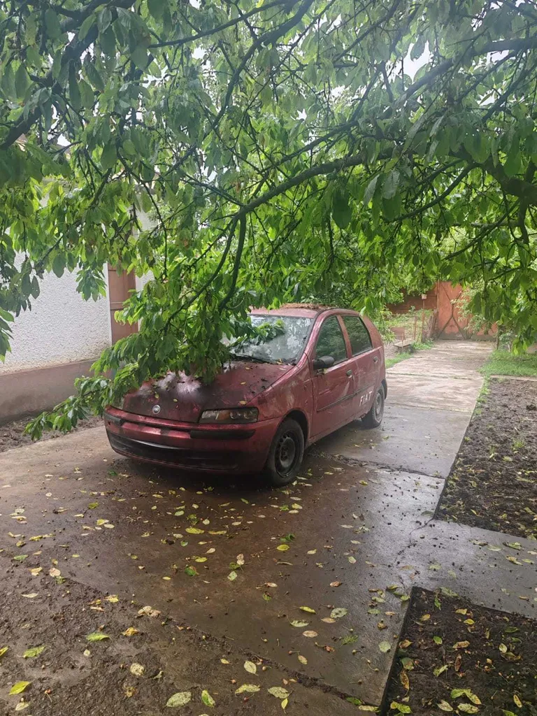 Fotografie: 2002 Fiat Punto