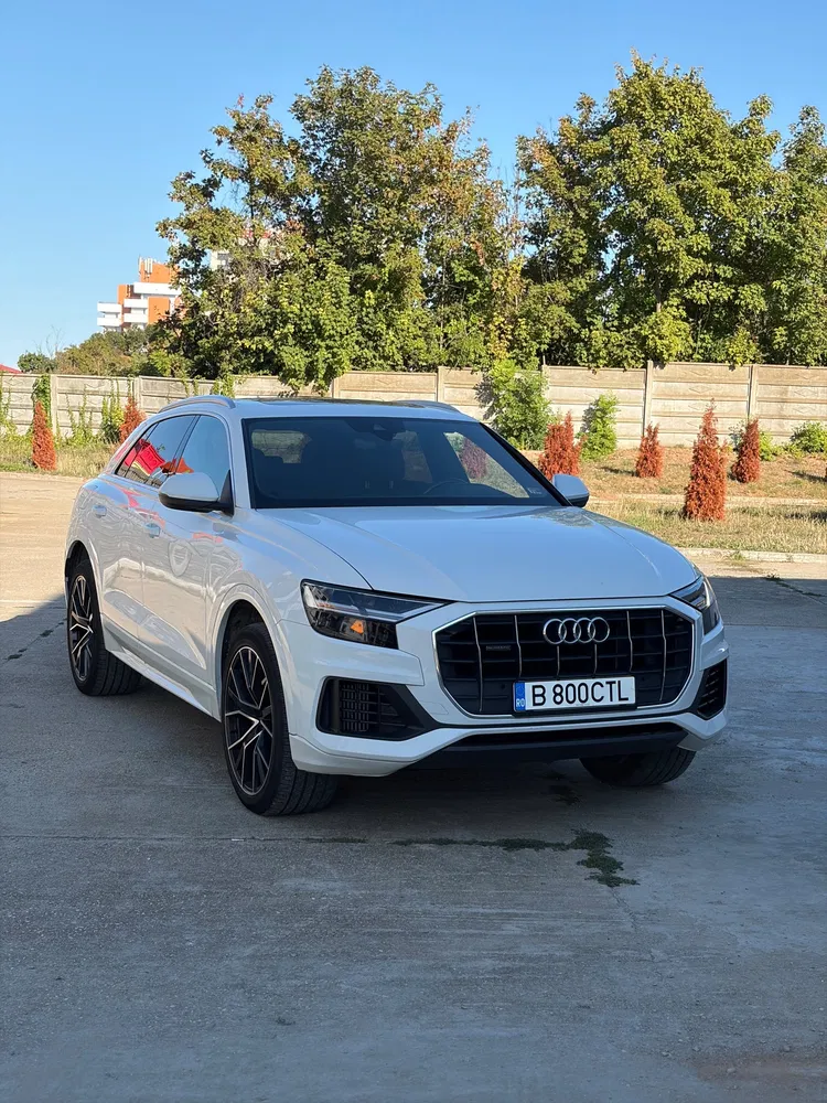 Fotografie: 2019 Audi Q8