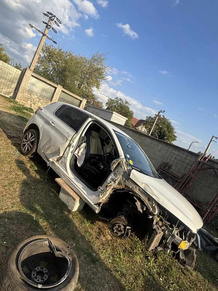 Fotografie: 2019 Peugeot 308