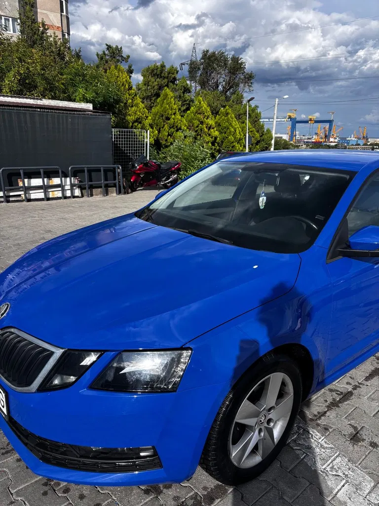 Fotografie: 2019 Skoda Octavia