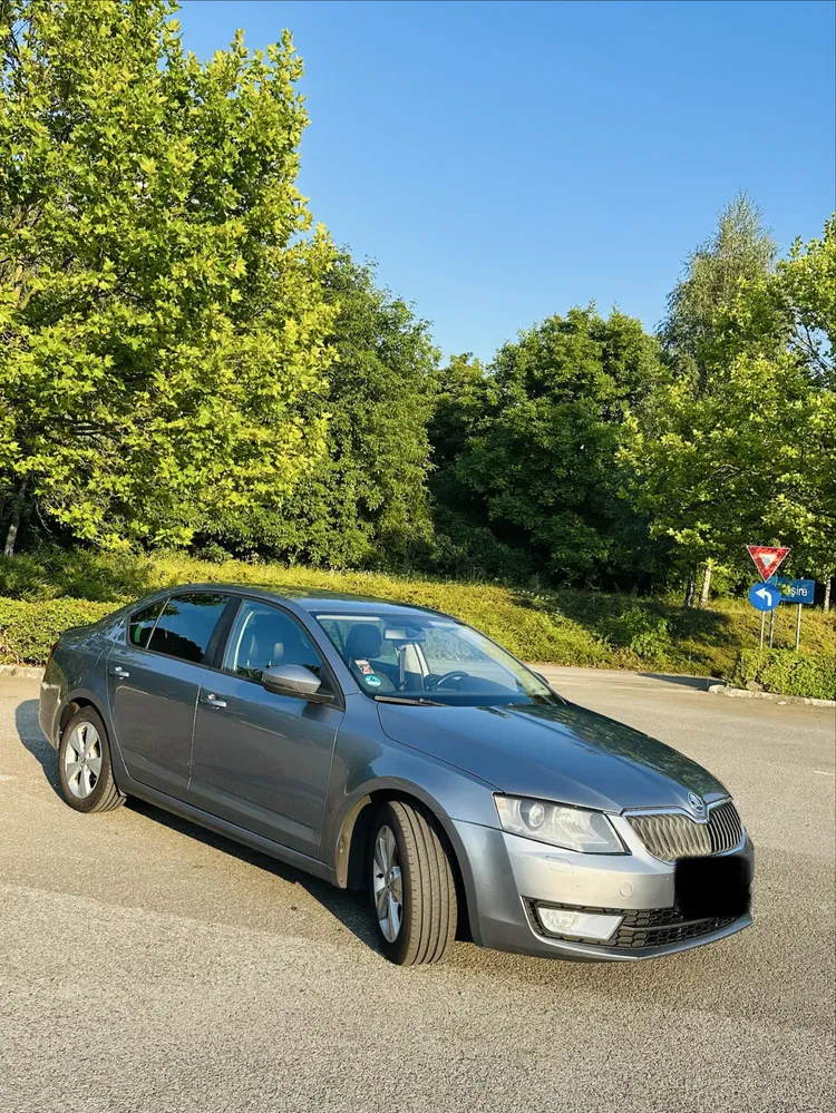 Fotografie: 2013 Skoda Octavia