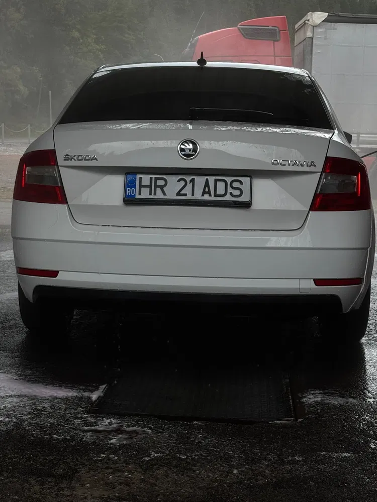 Fotografie: 2018 Skoda Octavia