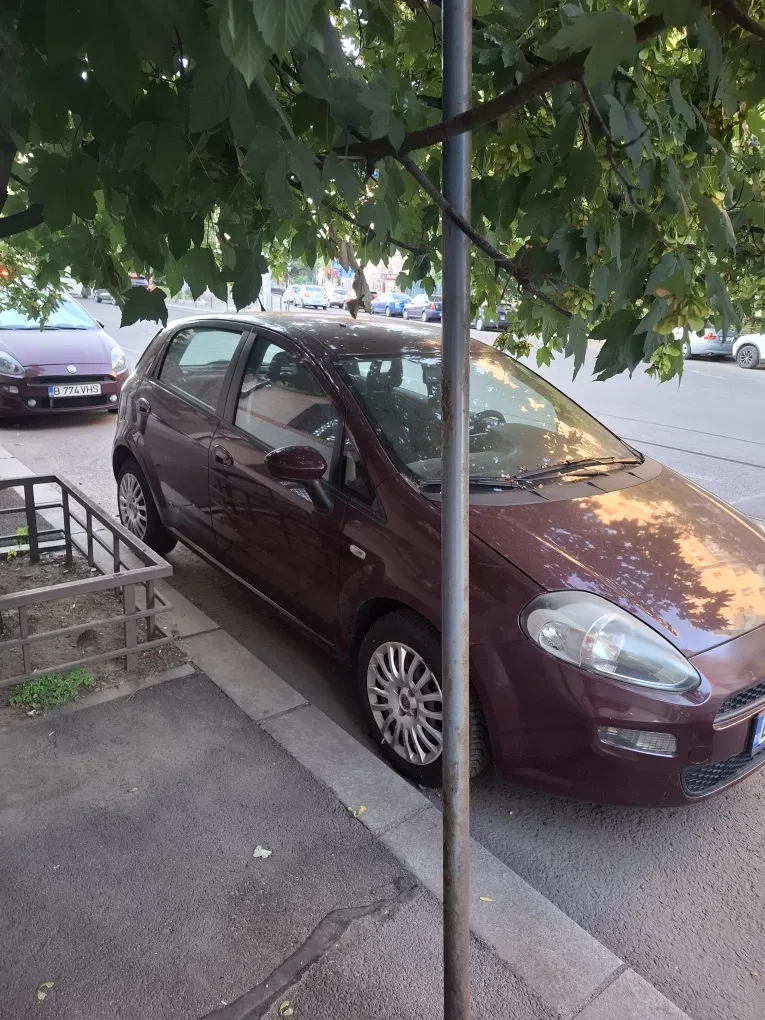 Fotografie: 2013 Fiat Punto