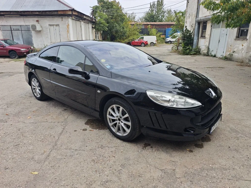 Fotografie: 2009 Peugeot 407