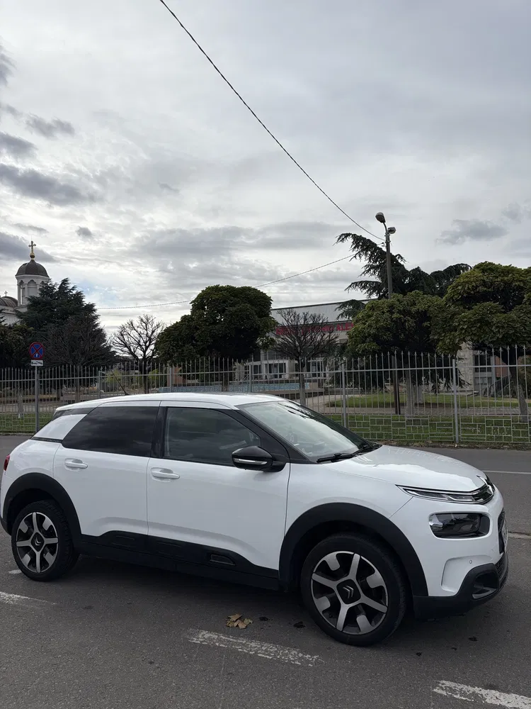 Fotografie: 2019 Citroen C4 Cactus