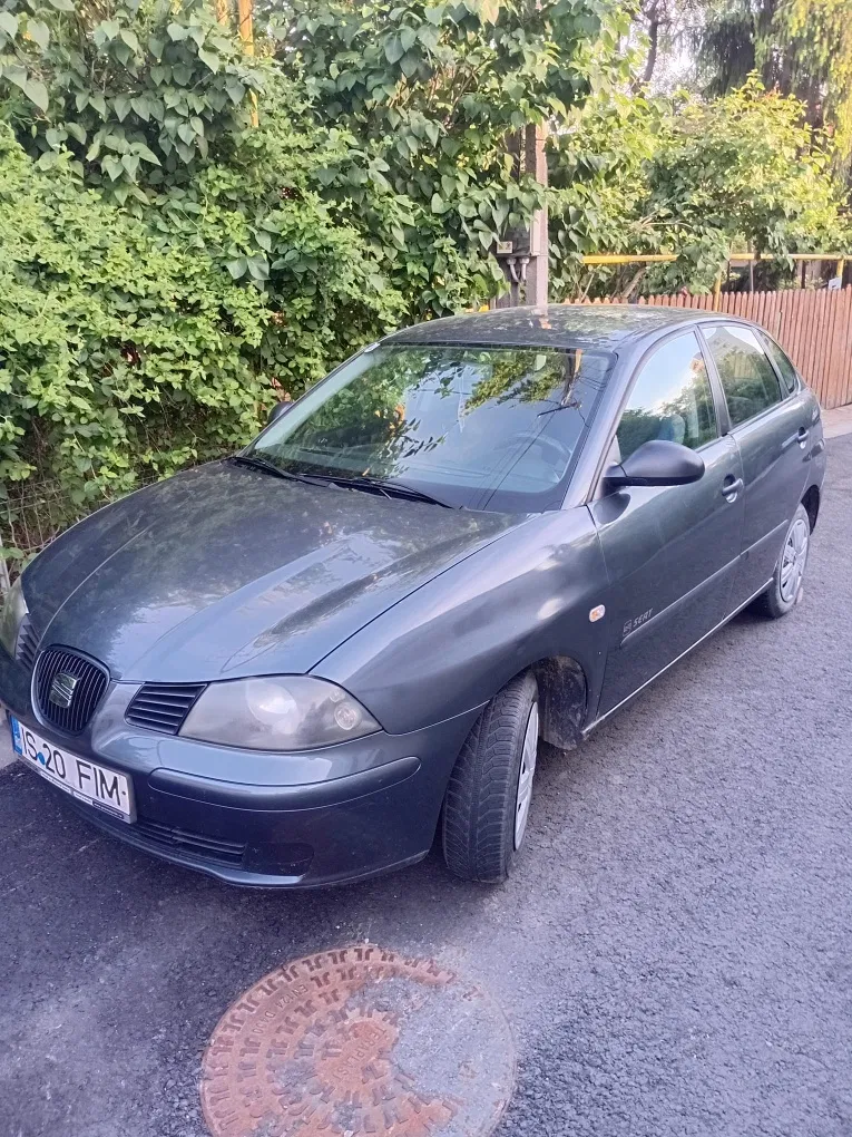 Fotografie: 2004 Seat Ibiza