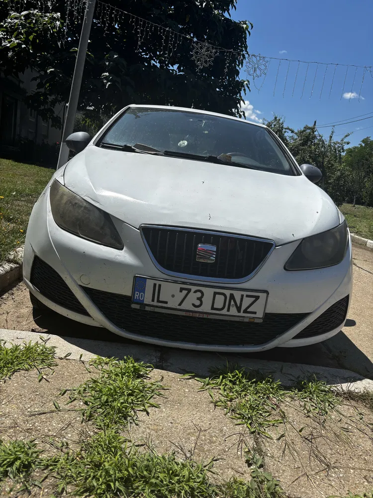 Fotografie: 2011 Seat Ibiza