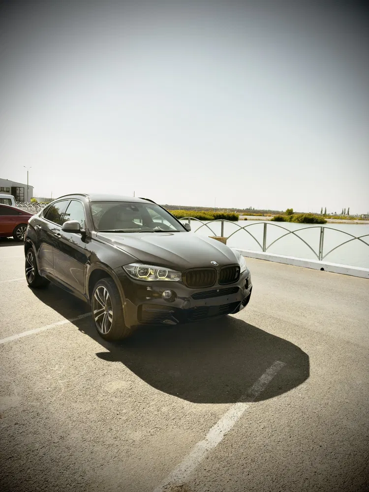 Fotografie: 2016 BMW X6