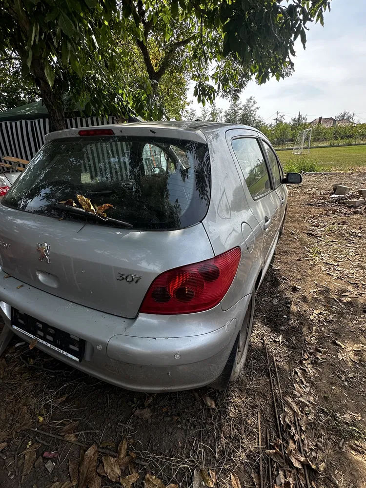 Fotografie: 2003 Peugeot 307