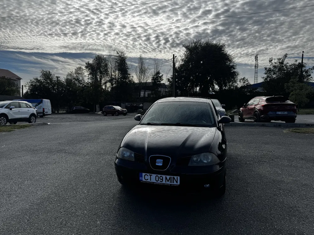 Fotografie: 2004 Seat Ibiza
