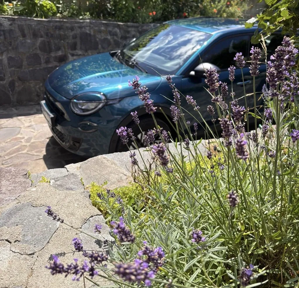 Fotografie: 2025 Fiat 600