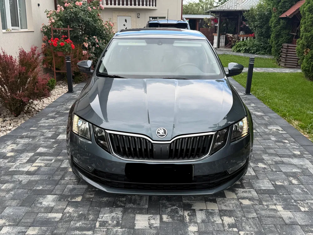 Fotografie: 2019 Skoda Octavia